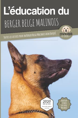 L'éducation du berger belge malinois : toutes les astuces pour un berger belge malinois bien éduqué
