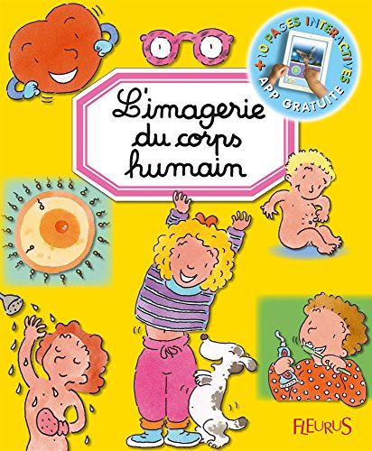 L'imagerie du corps humain