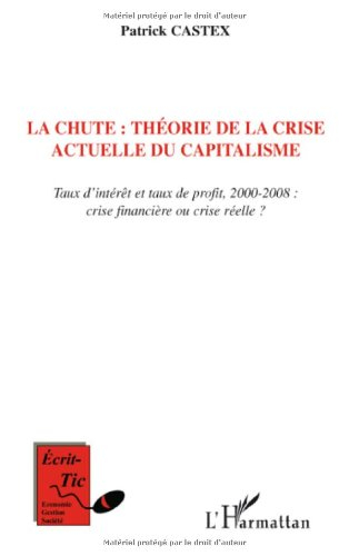 La chute : théorie de la crise actuelle du capitalisme : taux d'intérêt et taux de profit, 2000-2008