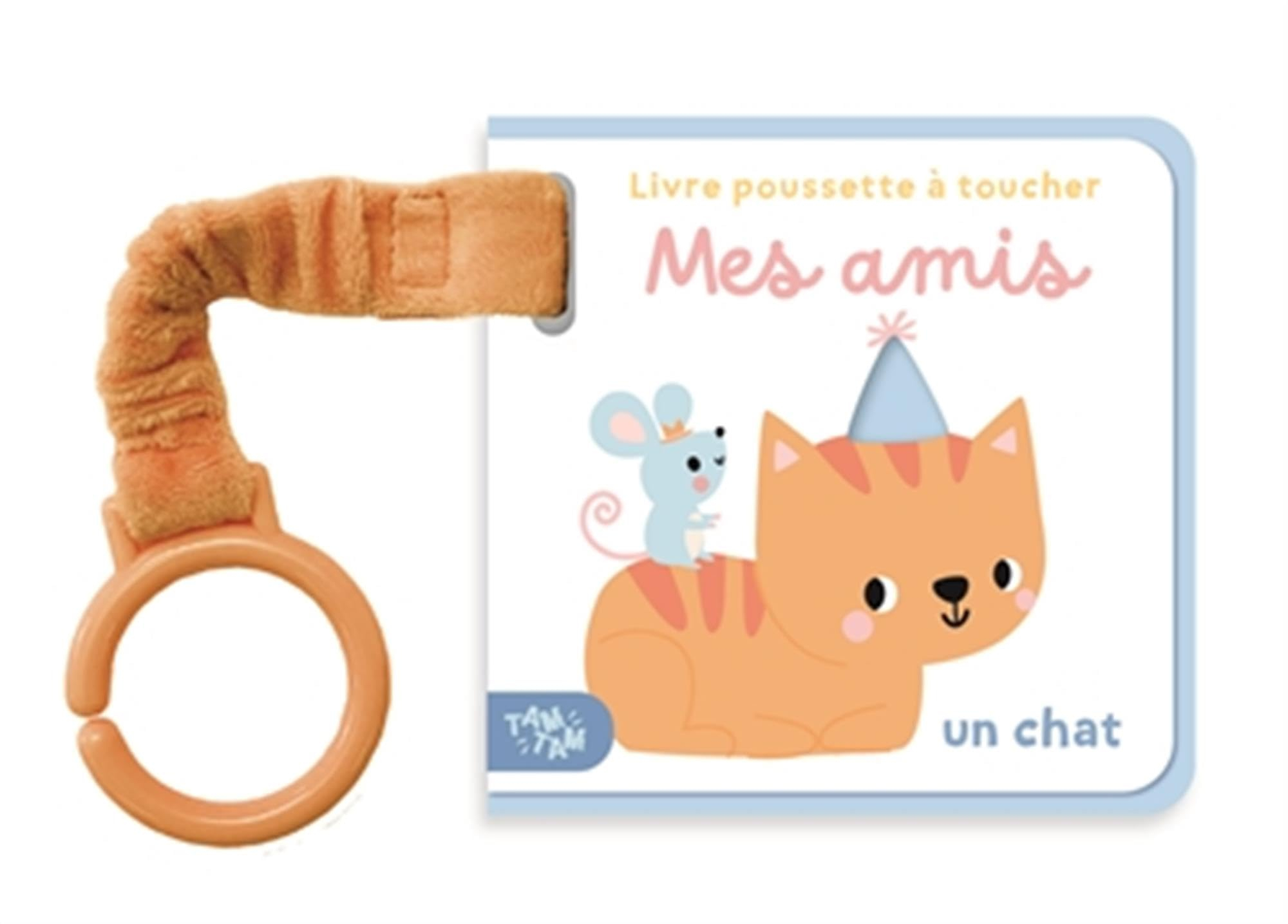 Mes amis : un chat