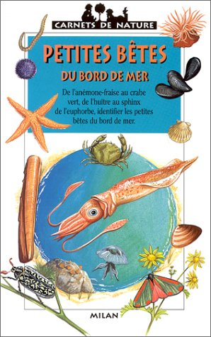petites bêtes du bord de mer