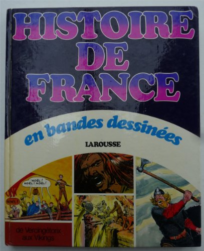 Histoire de France en bandes dessinées. Vol. 1. De Vercingétorix aux Vikings