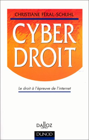 cyberdroit. le droit à l'épreuve de l'internet