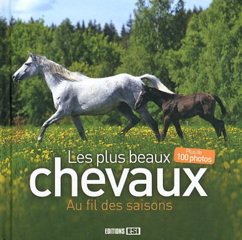 Les plus beaux chevaux au fil des saisons