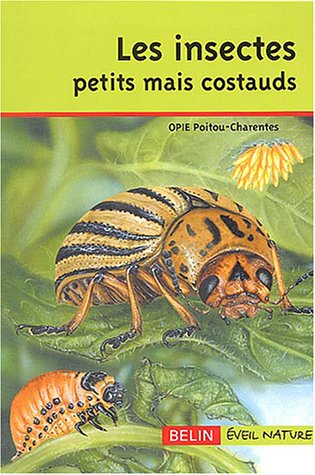 Les insectes petits mais costauds
