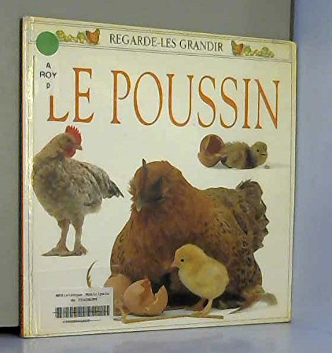Le poussin