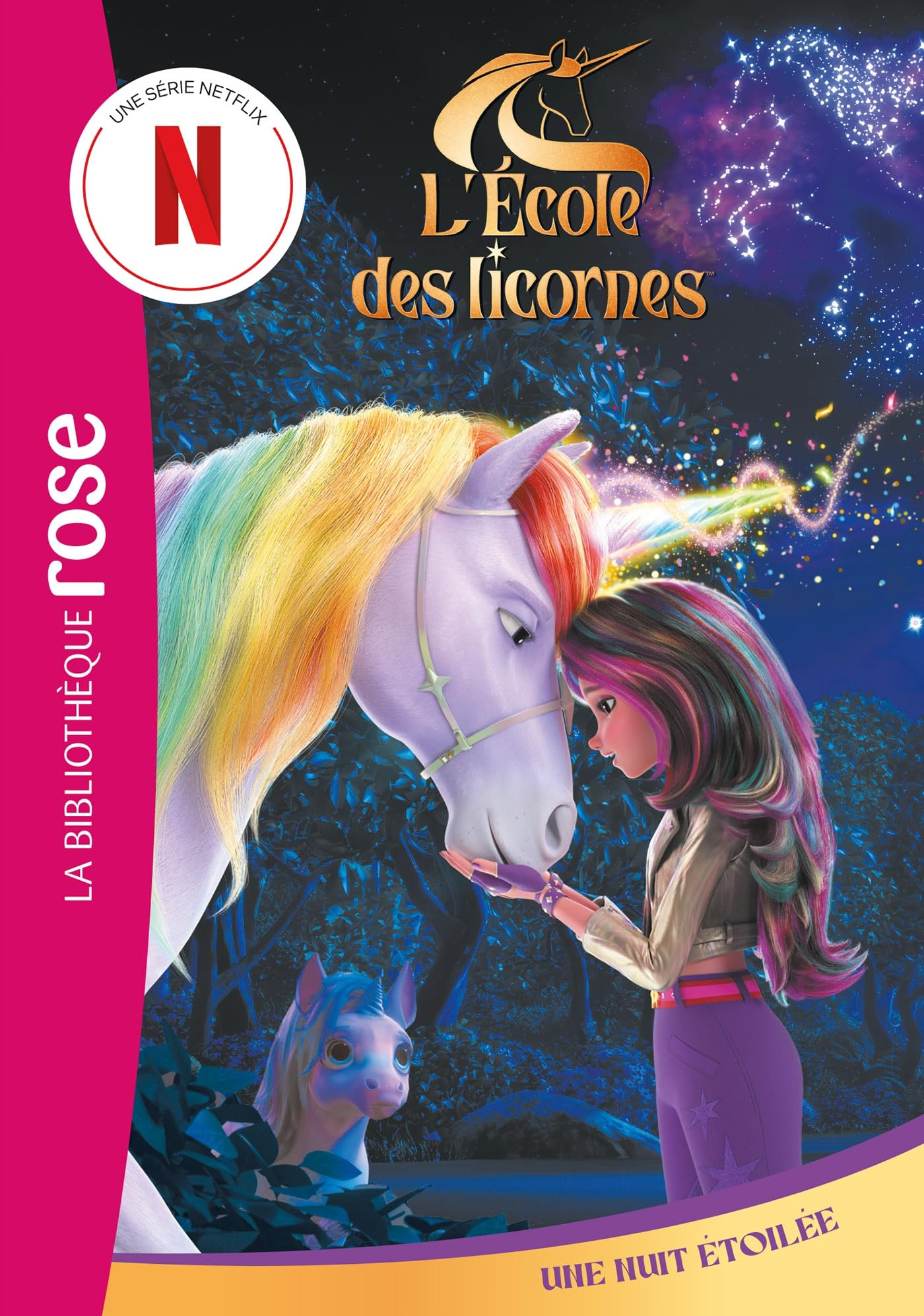 L'école des licornes. Vol. 10. Une nuit étoilée