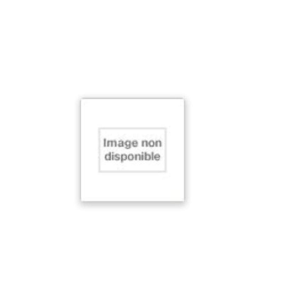 Dictionnaire insolite des saints