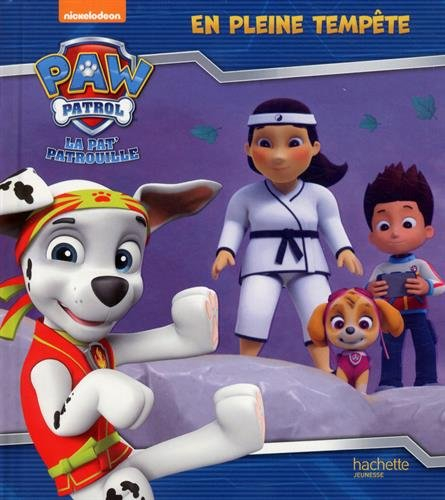 La Pat' Patrouille. En pleine tempête