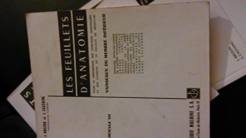 nerfs du membre supérieur