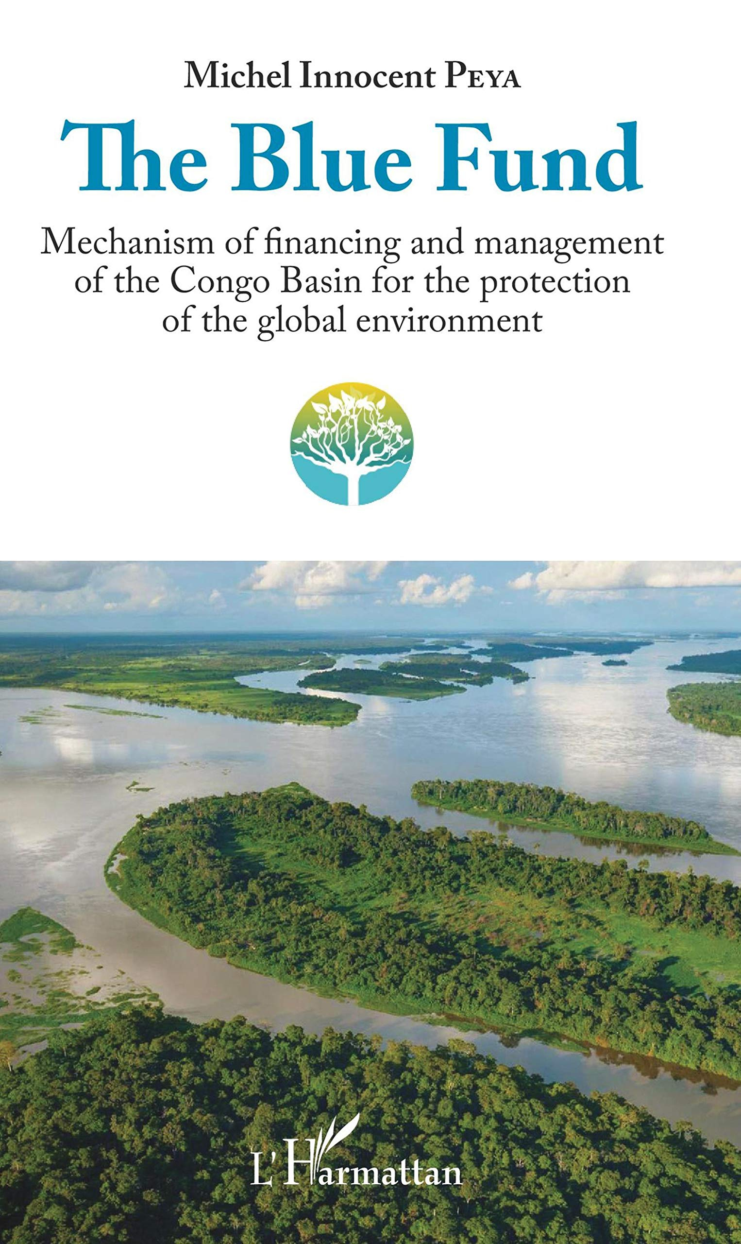 The Blue fund : mechanism of financing and management of the Congo basin for the protection of the g