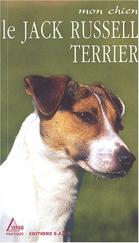 Le jack russell terrier : un chien pour les familles avec enfants