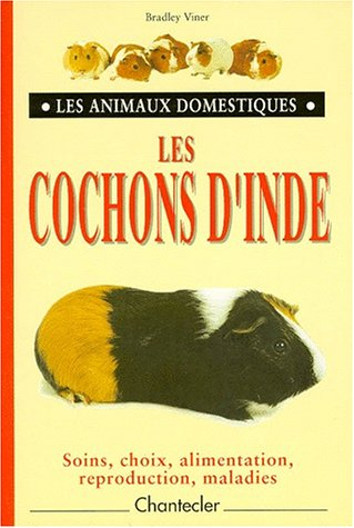 les cochons d'inde