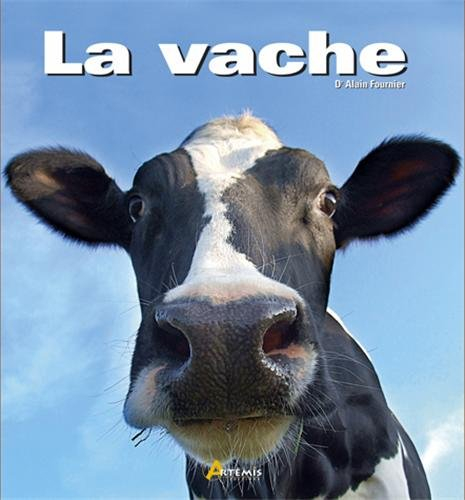 La vache