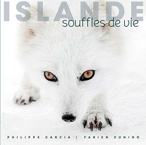 Islande : souffles de vie