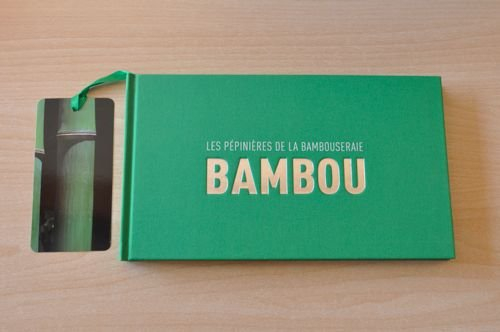 Les pépinières de la bambouseraie - Bambou