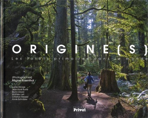 Origine(s) : les forêts primaires dans le monde