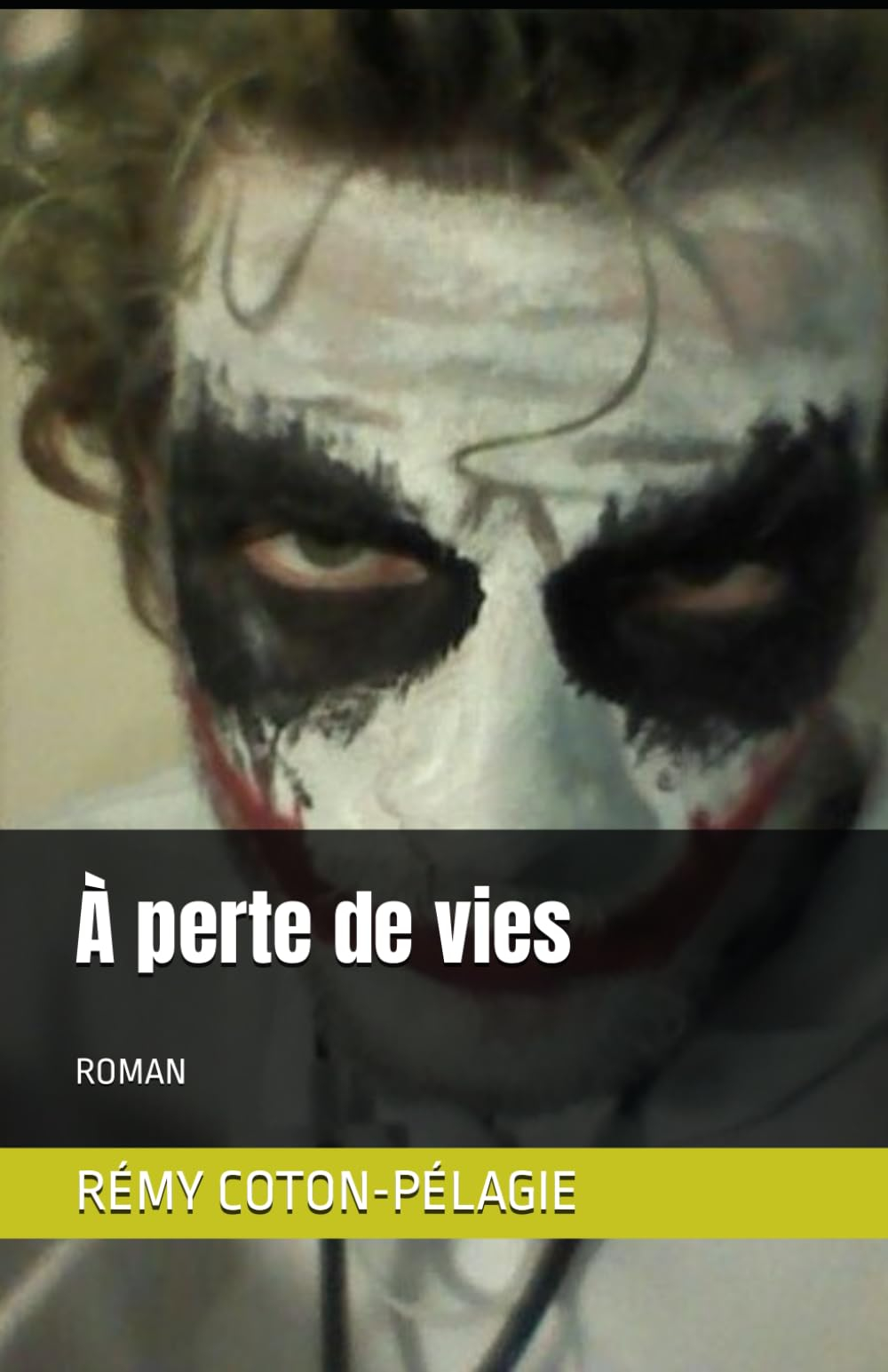 À perte de vies: ROMAN