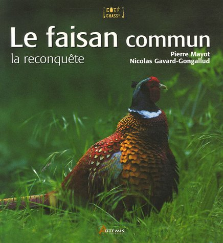 le faisan commun : la reconquête