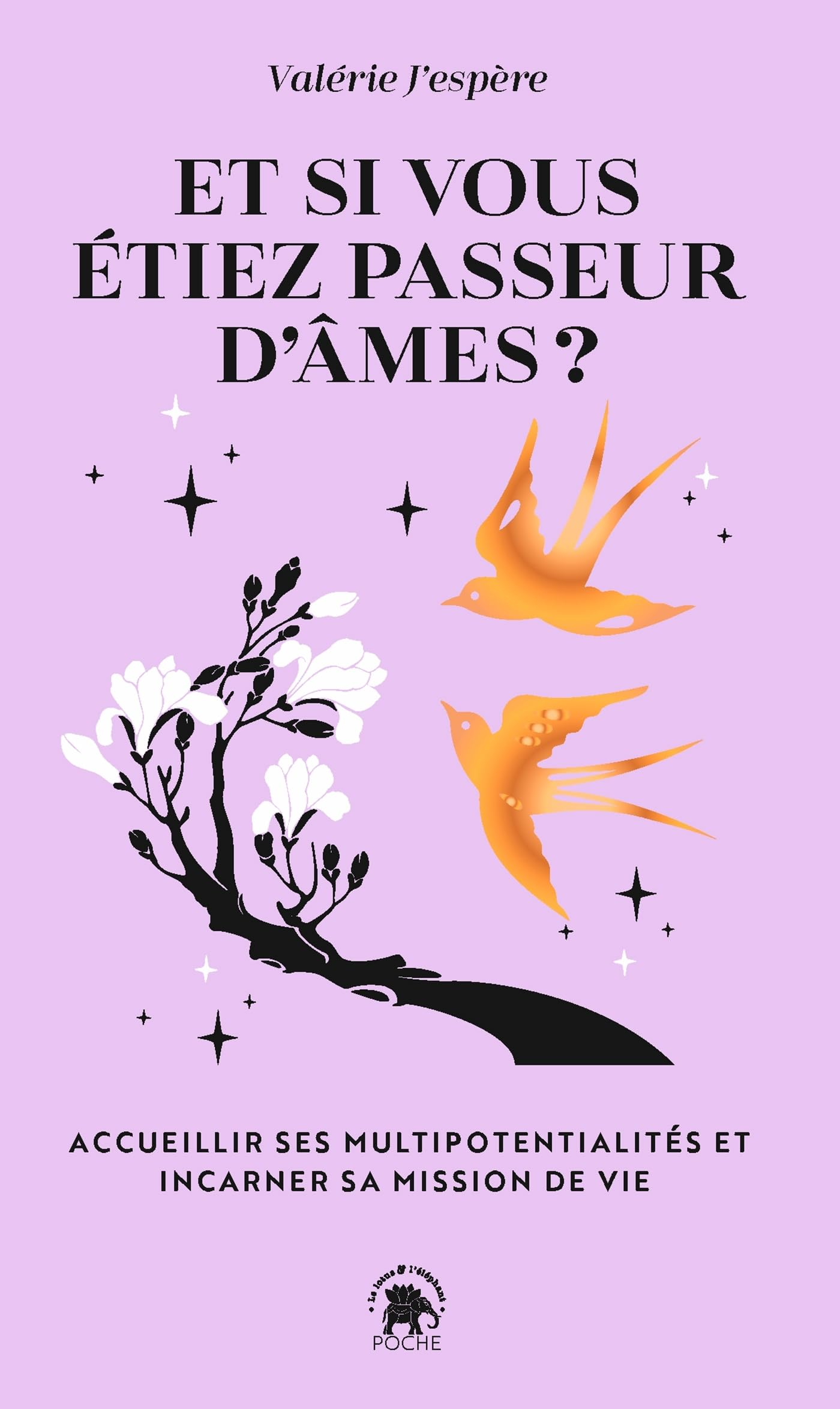 Et si vous étiez passeur d'âmes ? : accueillir ses multipotentialités et incarner sa mission de vie