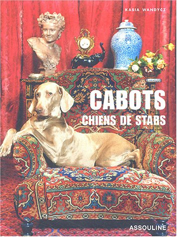Chiens de stars