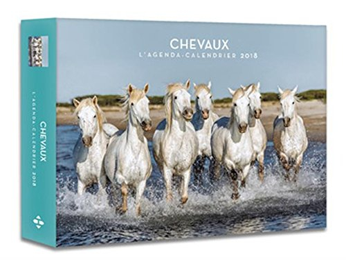 Chevaux : l'agenda-calendrier 2018