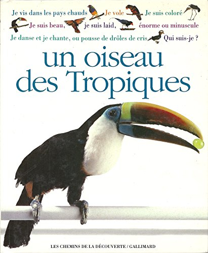 Qui suis-je ? Un oiseau des Tropiques