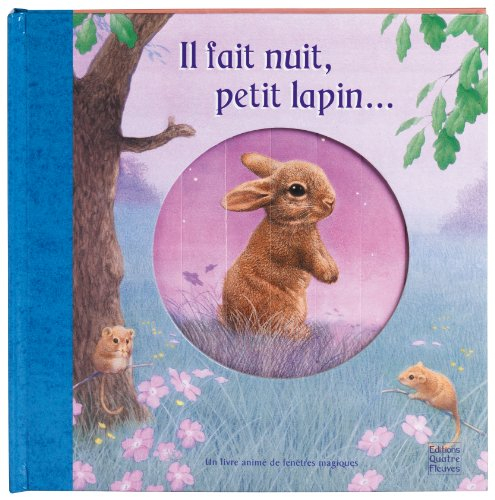 Il fait nuit, petit lapin... : un livre animé de fenêtres magiques
