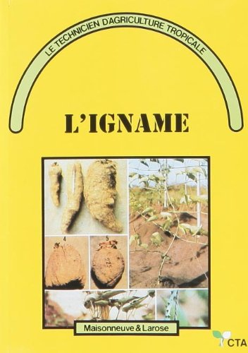 L'igname