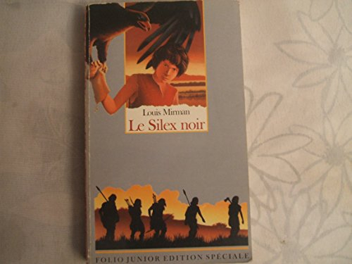 le silex noir
