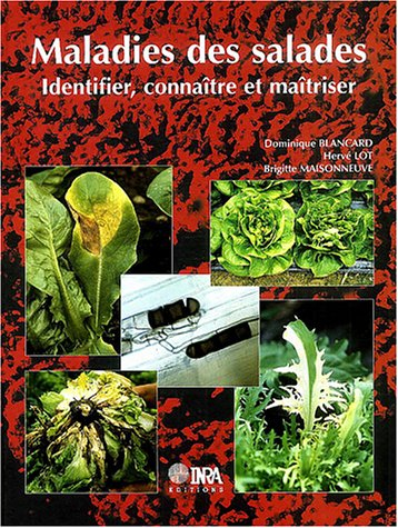 Maladies des salades : identifier, connaître et maîtriser