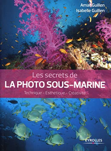 Les secrets de la photo sous-marine : technique, esthétique, créativité
