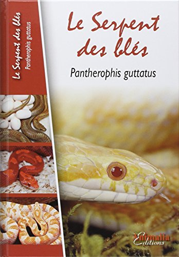 Le serpent des blés : Pantherophis guttatus