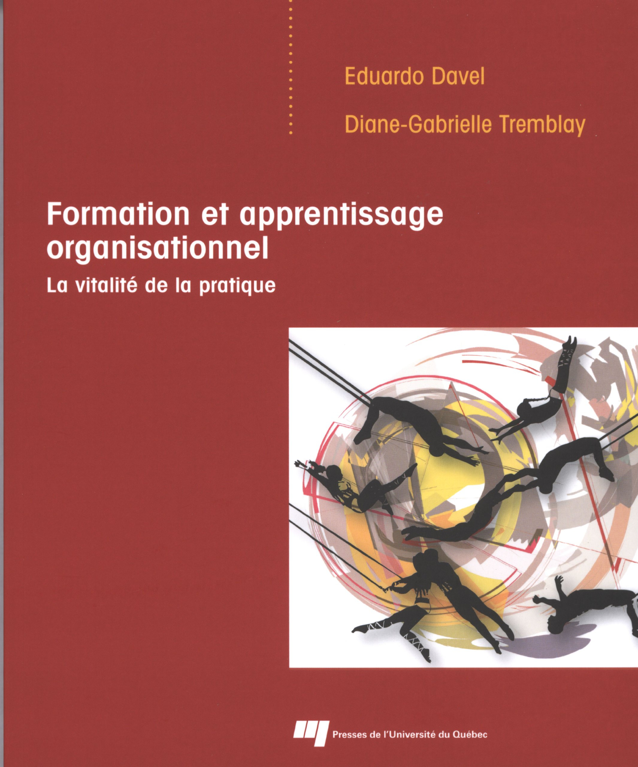 Formation et apprentissage organisationnel : la vitalité de la pratique