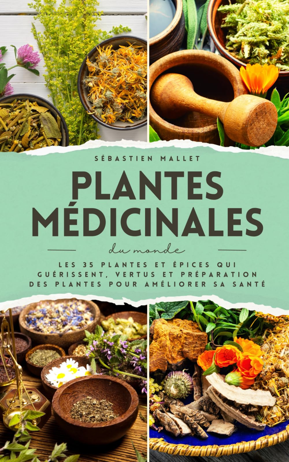 Plantes Medicinales Du Monde: Les 35 plantes et épices qui guérissent, vertus et préparation des pla
