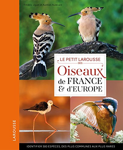 Le petit Larousse des oiseaux de France & d'Europe : identifier 500 espèces, des plus communes aux p