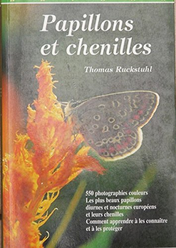 Papillons et chenilles