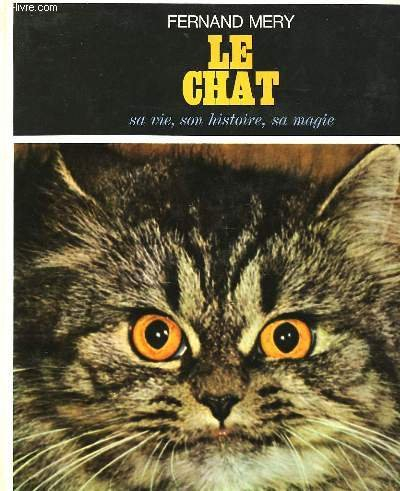 le chat sa vie, son histoire, sa magie
