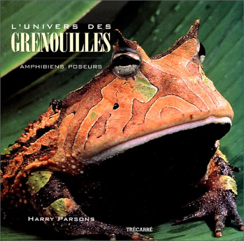 l'univers des grenouilles