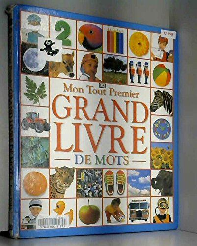 Mon tout premier grand livre de mots