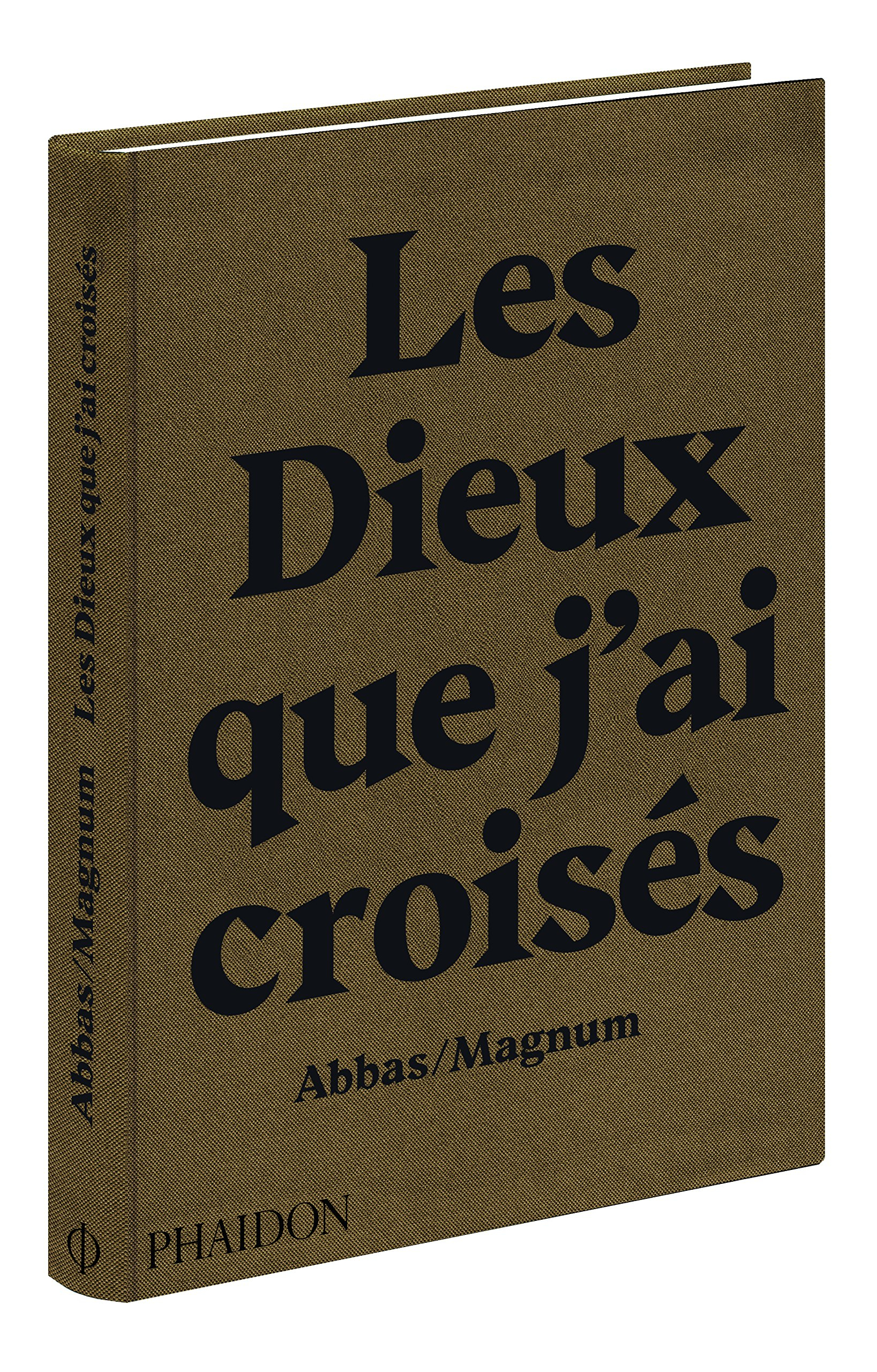 Les dieux que j'ai croisés : voyages parmi les Hindous