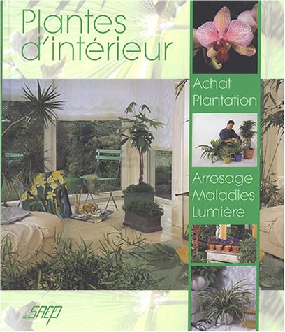 Plantes d'intérieur
