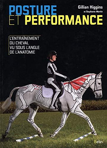 Posture et performance : l'entraînement du cheval vu sous l'angle de l'anatomie