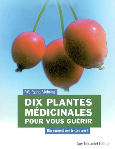Dix plantes médicinales pour vous guérir : elles poussent près de chez vous !