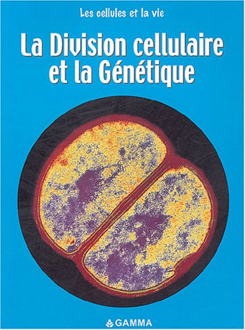 La division cellulaire et la génétique