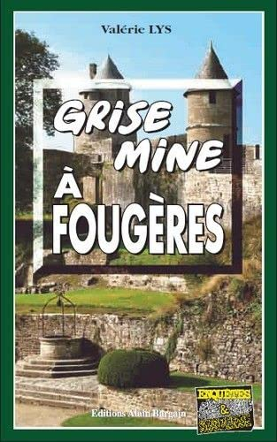 Grise mine à Fougères
