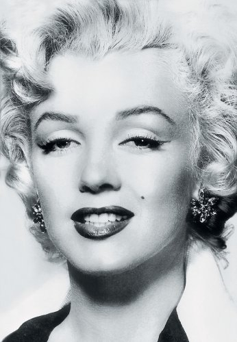 marilyn monroe and the camera