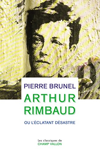 arthur rimbaud ou l'éclatant désastre
