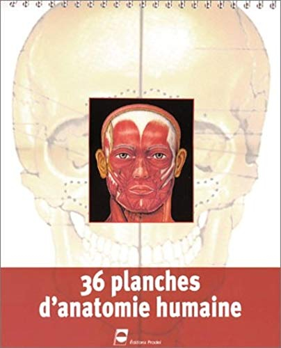 36 planches d'anatomie humaine