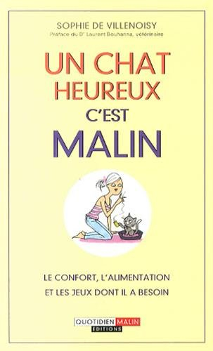 Un chat heureux, c'est malin : le confort, l'alimentation et les jeux dont il a besoin
